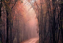 球员风采百态欧国联赛场为你呈现